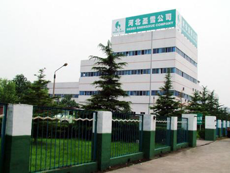 河北圣雪大成制药有限责任公司