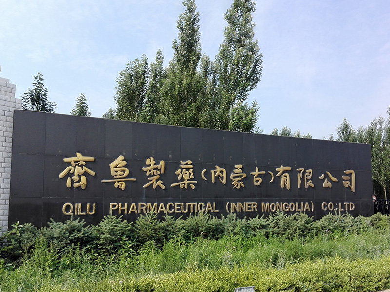 齐鲁制药（内蒙古）有限公司